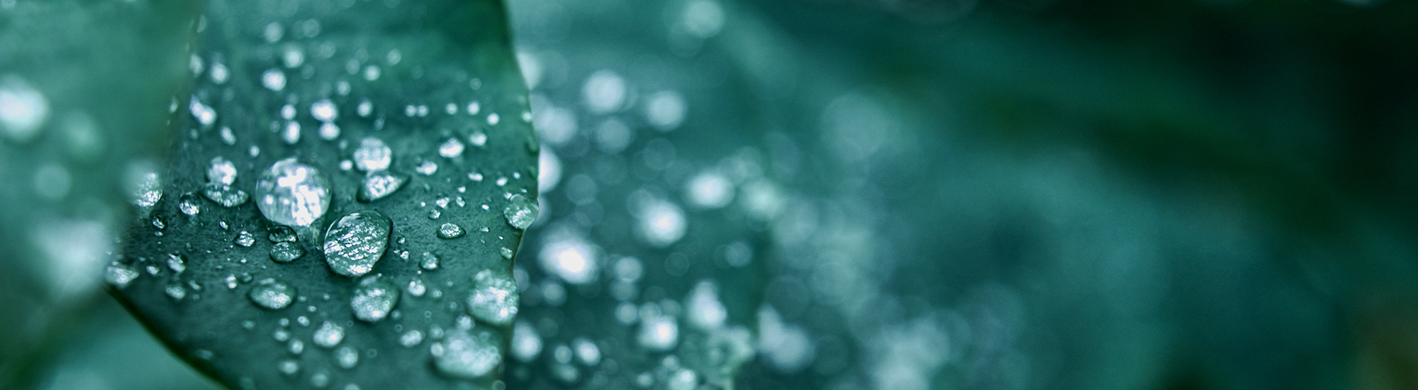 Barrow Hanley Global Share Fund - Class A