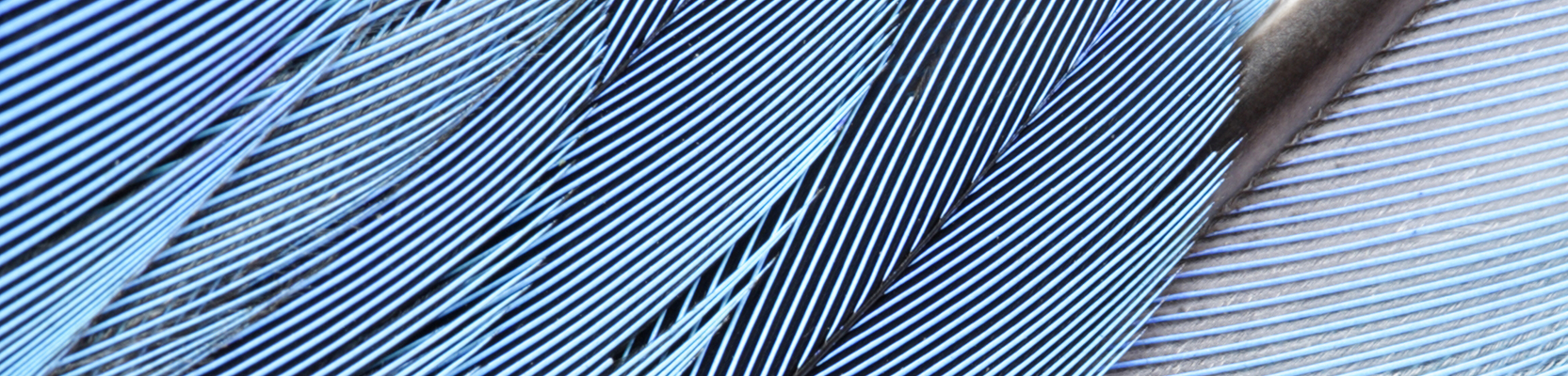 Perpetual Diversified Growth