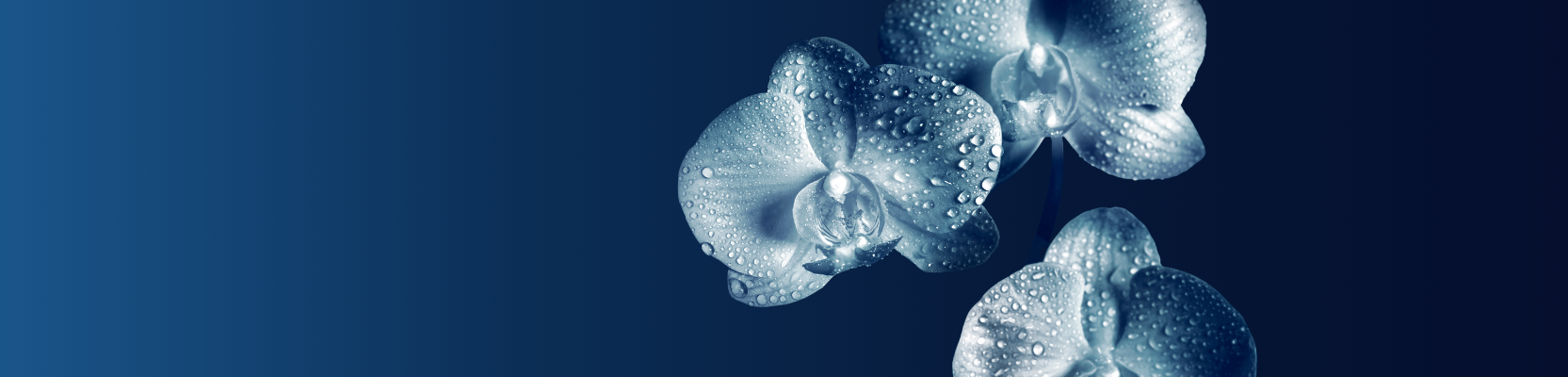 Advice for women, by women